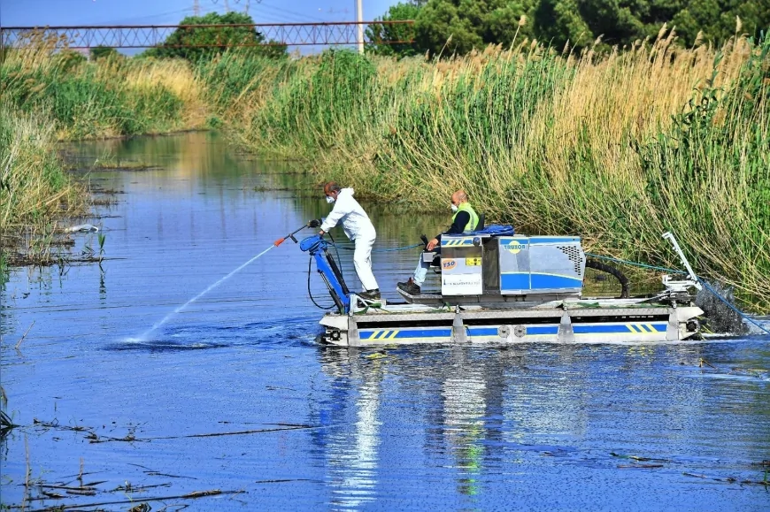 İzmir Büyükşehir Belediyesi Vektörlerle Mücadelede Teknolojiyi Sahaya Taşıdı 254 Bin Noktada Yıl Boyu İlaçlama Yapılıyor