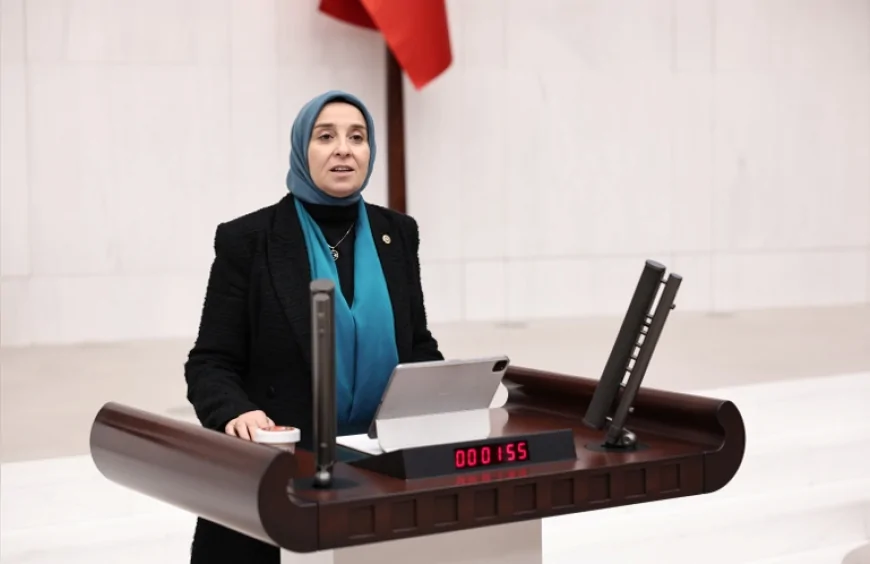 DEVA Partisi Genel Başkan Yardımcısı Elif Esen: “Doğayı korumanın finansmanı doğayı tüketen bir modele dönüşmemeli”