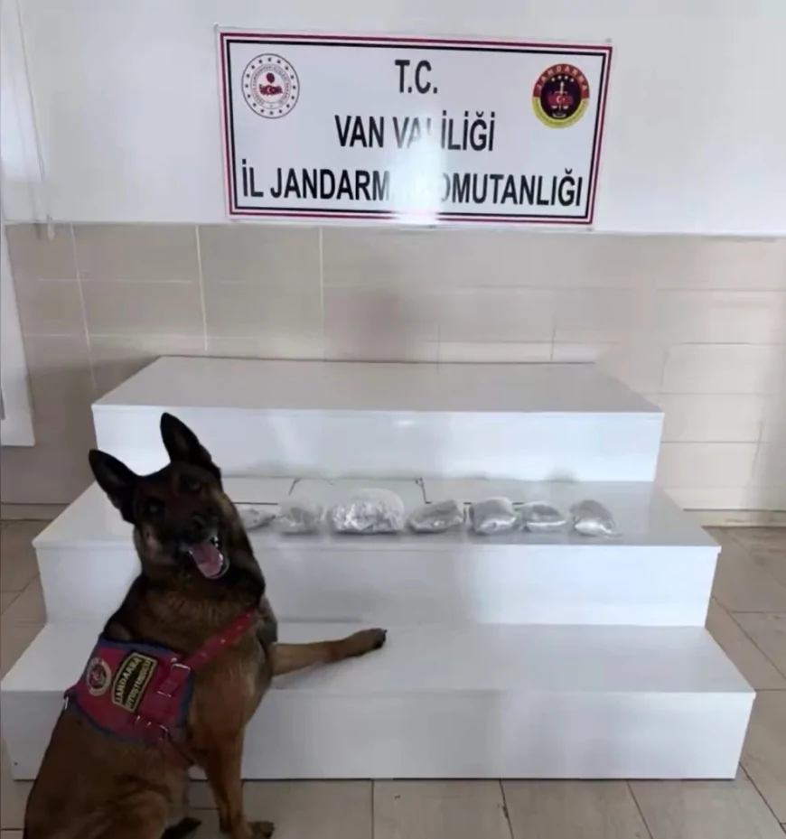 Van ve Hakkari’de Jandarma Operasyonlarında 320 Kilogram Uyuşturucu Ele Geçirildi