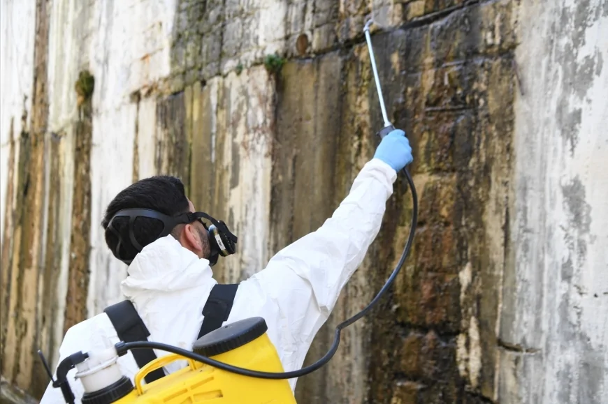Mamak Belediyesi İlçe Genelinde İlaçlama Çalışmalarını Sürdürüyor Haşere ve Larva Oluşumuna Karşı Ekipler Sahada