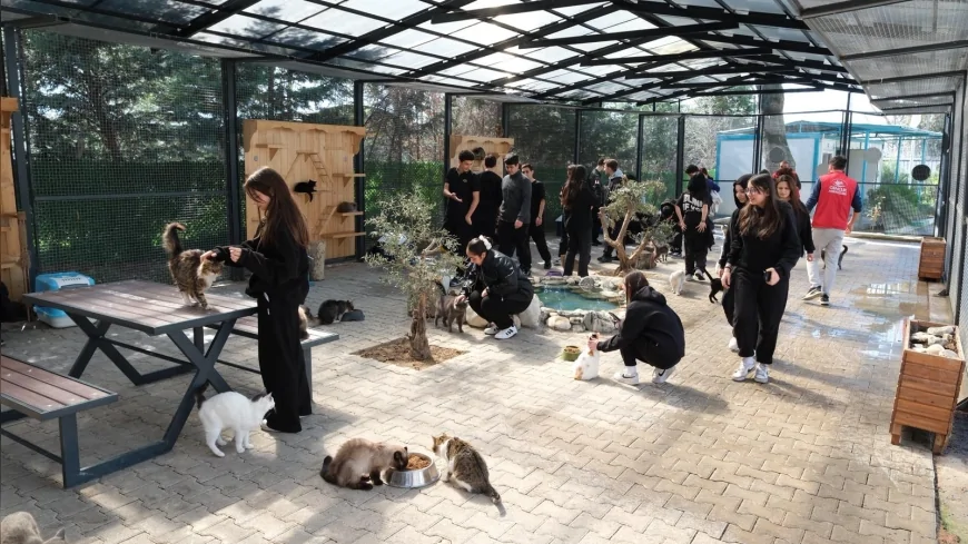 Yıldırım Belediyesi Sahipsiz Hayvan Bakımevi gençleri ağırladı