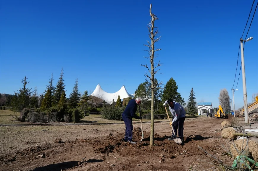 ESKİŞEHİR BÜYÜKŞEHİR BELEDİYESİ SAZOVA PARKI’NDA AĞAÇLANDIRMA ÇALIŞMASI BAŞLATTI
