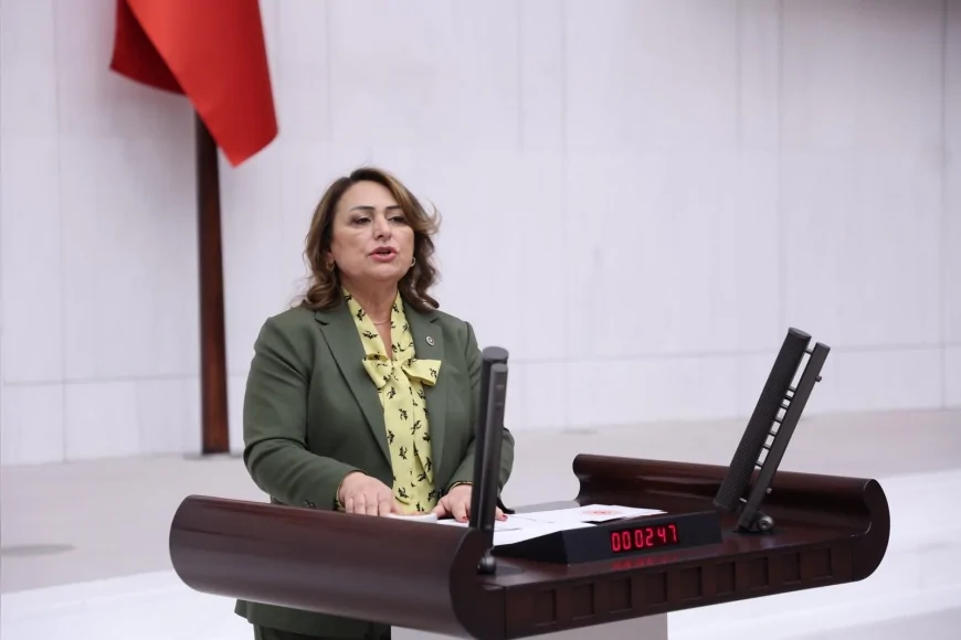 CHP Adana Milletvekili Dr. Müzeyyen Şevkin: “Halk, ağız ve diş sağlığı hizmetine ulaşamıyor, 20 bin diş hekimi işsiz”