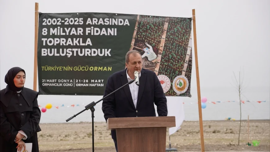 İznik’te Orman Haftasında 200 Çınar Fidanı Toprakla Buluştu Yeni Yaşam Alanı Şekilleniyor