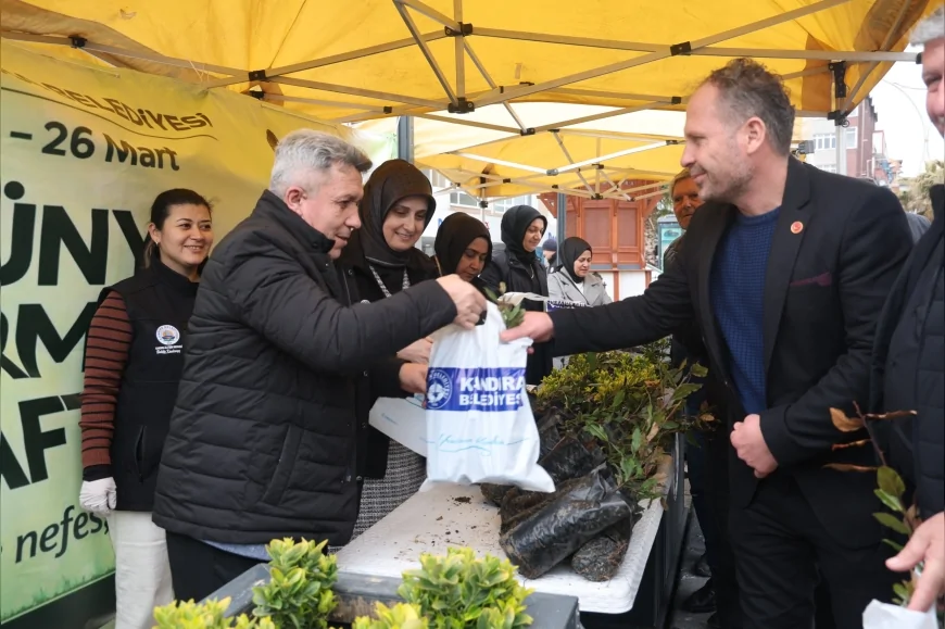 Kandıra Belediyesi Dünya Ormancılık Günü’nde 600 Defne Fidanını Vatandaşlara Dağıttı