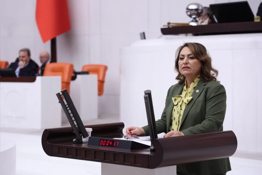 CHP Adana Milletvekili Dr. Müzeyyen Şevkin TBMM’de sordu “Tahliye edilen Zeydan Karalar neden görevine iade edilmiyor”