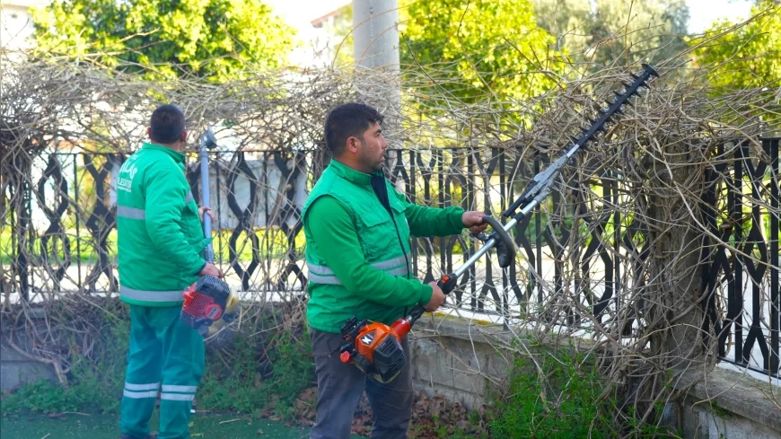 Milas Belediyesi İlçe Genelinde Bakım ve Budama Çalışmalarını Aralıksız Sürdürüyor