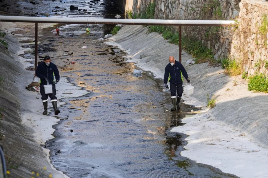 İzmir Büyükşehir Belediyesi: “Bahar aylarında görülen mevsimsel sinekler zararsızdır, endişe etmeyin”