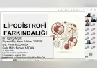 Ege Üniversitesinde düzenlenen panelde lipodistrofi hastalığında erken tanı ve doğru bakımın önemi vurgulandı!