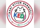 Kedi Otizm Derneği Kaynaştırma Öğrencilerine Yönelik Linç Kampanyasına Tepki Gösterdi