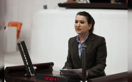 CHP Genel Başkan Yardımcısı Gökçe Gökçen: “AİHM kararlarının uygulanmamasının hukuki değil siyasi nedeni var”