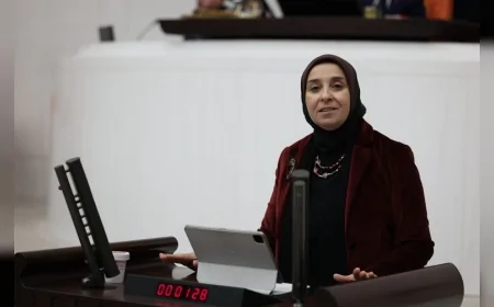 DEVA Partisi Genel Başkan Yardımcısı Elif Esen: “Dijital şiddetle mücadelede uluslararası uyum güçlendirilmeli”