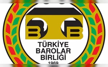 Türkiye Barolar Birliği Hayvan Hakları Komisyonu: “Sokakta yaşayan hayvanların yaşam hakkı tartışmaya açık değildir”