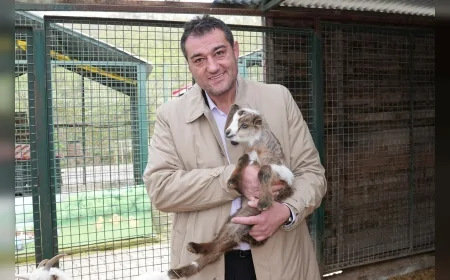 Giresun Belediye Başkanı Fuat Köse: “Tüm hemşehrilerimi can dostlara karşı duyarlı olmaya davet ediyorum”