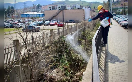 Giresun Belediyesi şehir genelinde ilaçlama seferberliği başlattı zararlıların üreme alanları hedef alındı