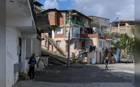 İzmir Büyükşehir Belediyesi yangından etkilenen üreticiden 300 ton patates alarak 60 bin haneye dağıtıyor