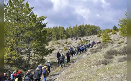 Ankara Büyükşehir Belediyesi Kızılcahamam Şahinler Tabiat Parkı’nda ücretsiz doğa yürüyüşü düzenledi