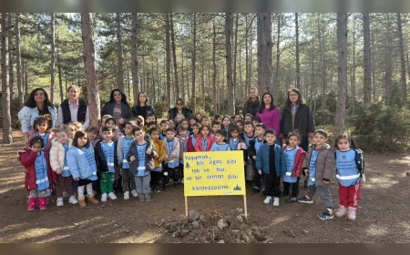 ESKİŞEHİR BÜYÜKŞEHİR BELEDİYESİ ÇOCUKLARI DOĞAYLA BULUŞTURDU MİNİKLER ORMANI KEŞFETTİ!