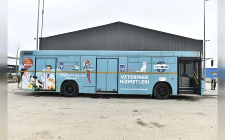 Ankara Büyükşehir Belediyesi Başkent’te 8 Milyonu Aşkın Sokak Hayvanına Veterinerlik Hizmeti Sundu