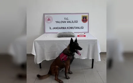 Yalova İl Jandarma Komutanlığı Uyuşturucu Operasyonunda 1,5 Kilogram Skunk Ele Geçirdi
