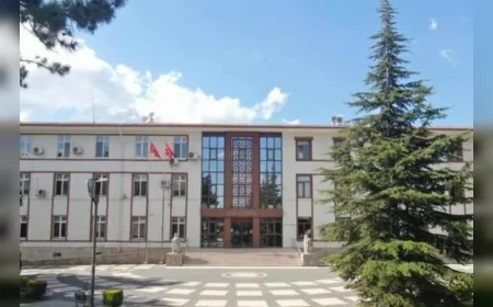 Çorum Valiliği sahipsiz köpek iddialarına ilişkin açıklama yaptı çalışmaların sürdüğünü duyurdu