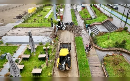 Giresun Belediye Başkanı Fuat Köse Plajlar Bölgesinde Yenileme Çalışmalarını Başlattı