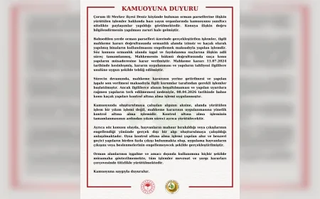 Orman Genel Müdürlüğü: “Çorum Deniz köyündeki işlem yıkım değil mahkeme kararının uygulanmasıdır”