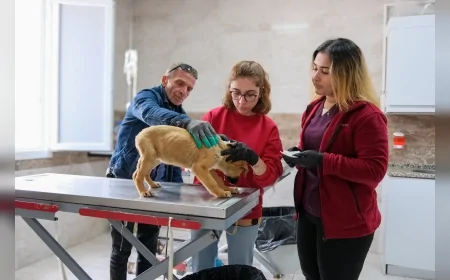 Menemen Belediye Başkanı Aydın Pehlivan: “50 bini aşkın can dostun tedavisini gerçekleştirdik”