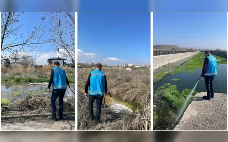 Kahramankazan Belediyesi bahar aylarında artan haşerelere karşı ilçe genelinde yoğun ilaçlama çalışması başlattı