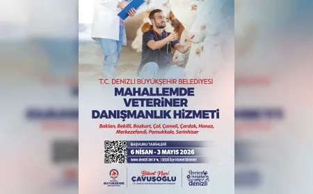 DENİZLİ BÜYÜKŞEHİR BELEDİYESİ MAHALLEMDE VETERİNER DANIŞMANLIK HİZMETİ PROJESİNİN İKİNCİ DÖNEM BAŞVURULARINI BAŞLATTI