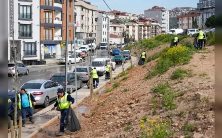 Maltepe Belediyesi Zümrütevler'de Geniş Kapsamlı Bahar Temizliği Çalışması Yürüttü