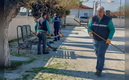 Aydın Efeler Belediyesi Kocagür Mahallesi'nde Kapsamlı Çevre Bakımı Ve Ot Biçme Çalışması Yaptı