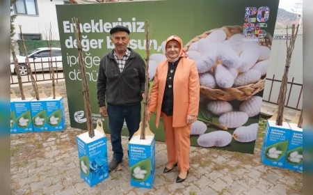 ESKİŞEHİR BÜYÜKŞEHİR BELEDİYESİ SARICAKAYA’DA ÜRETİCİLERE 600 DUT FİDANI DAĞITTI