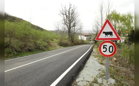 ORDU BÜYÜKŞEHİR BELEDİYESİ TAMAMLANAN YOLLARDA TRAFİK GÜVENLİĞİNİ ARTIRIYOR