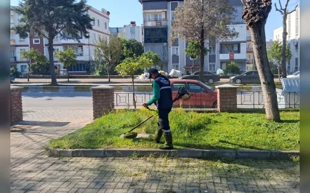 AYDIN EFELER’DE YEŞİL ALANLARDA BAKIM ÇALIŞMALARI ARALIKSIZ SÜRÜYOR