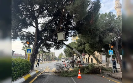 Aydın Büyükşehir Belediye Başkanı Özlem Çerçioğlu: “Yeşil dokuyu korumak için çalışmalarımızı sürdüreceğiz”