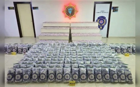 Çorum’da Narkotik Operasyonu ile Çekicide 249 Bin Sentetik Ecza Ele Geçirildi