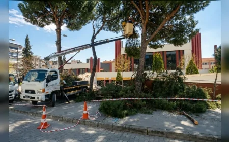 Efeler Belediyesi Hasanefendi Mahallesinde yüksek çam ağaçlarını budayarak çevre güvenliğini artırdı