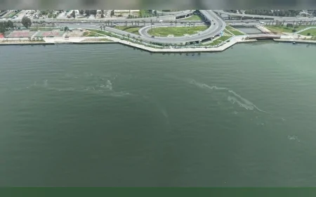 İzmir Büyükşehir Belediyesi İzmir Körfezi’nde kasımdan bu yana 10. kez dış kaynaklı kirlilik tespit edildiğini açıkladı