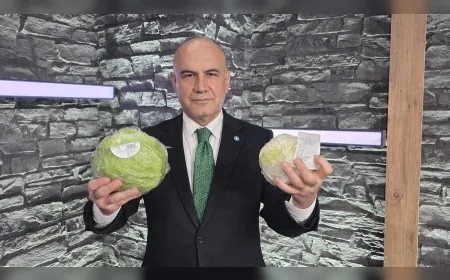 İYİ Parti Grup Başkanvekili Op. Dr. Turhan Çömez: “Londra’da 55, İstanbul’da 175 TL olan marul fiyatı kabul edilemez”