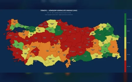 Kastamonu Ekonomisinde Dönüşüm Verimliliği Alarmı: Kaynaklar Performansa Tam Yansımıyor