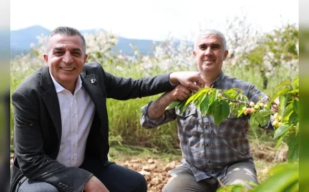 Şehzadeler Belediye Başkanı Hakan Şimşek erkenci kiraz hasadı öncesi üreticilerle buluştu