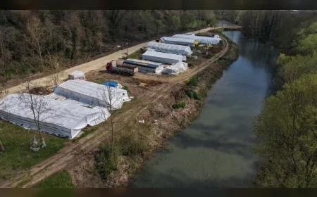 BAŞİSKELE’DE KURBANLIK HAYVAN PAZARI BAYRAM ÖNCESİ YOĞUNLUĞA SAHNE OLUYOR