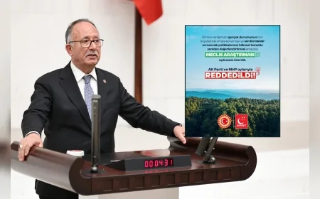 SAADET PARTİSİ ANTALYA MİLLETVEKİLİ ŞERAFETTİN KILIÇ: “BU MESELE SADECE AĞAÇ DEĞİL GELECEK NESİLLERİN HAKKIDIR”