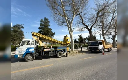 Yalova Belediyesi kent genelinde temizlik ve bakım çalışmalarını aralıksız sürdürüyor
