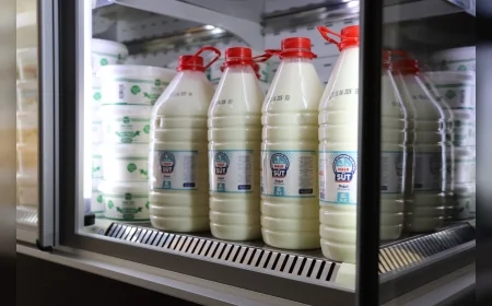 Eskişehir Büyükşehir Belediyesi Halk Süt Tesisi üretimi artırdı sağlıklı ve uygun fiyatlı ürünler sofralara ulaşıyor