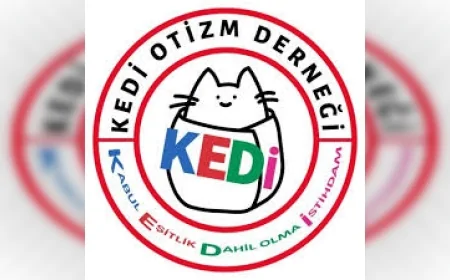 Kedi Otizm Derneği Kaynaştırma Öğrencilerine Yönelik Linç Kampanyasına Tepki Gösterdi