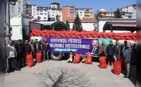 ORDU BÜYÜKŞEHİR BELEDİYESİ 6 İLÇEDE ÜRETİCİLERE 45 TON TOHUMLUK PATATES DAĞITTI