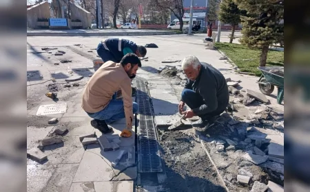AĞRI BELEDİYESİ PARK VE BAHÇELER MÜDÜRLÜĞÜ KENT GENELİNDE BAKIM VE YENİLEME ÇALIŞMALARINI SÜRDÜRÜYOR