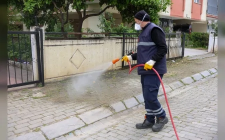EFELER’DE YABANCI OTLAR TEMİZLENİYOR KENT ESTETİĞİ VE HALK SAĞLIĞI İÇİN ÇALIŞMALAR HIZ KAZANDI